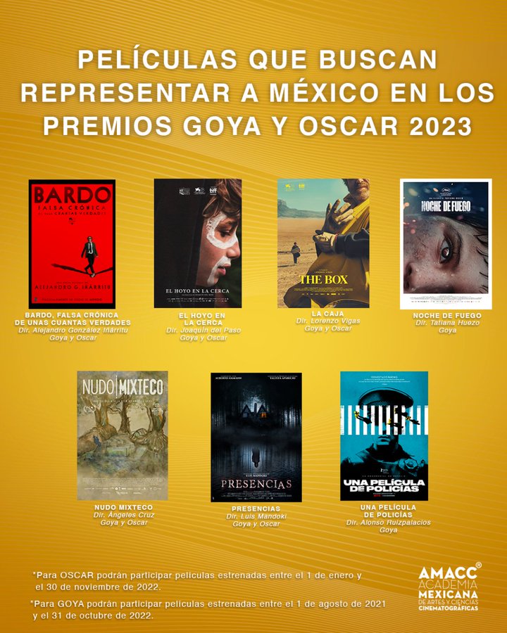 Películas mexicanas que buscarán llegar a lo Premios Oscar y Goya 2023 |  Morelia Film Fest