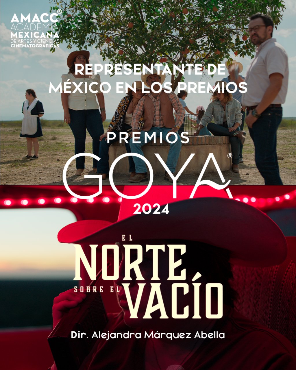 El norte sobre el vacío en los Premios Goya 2024