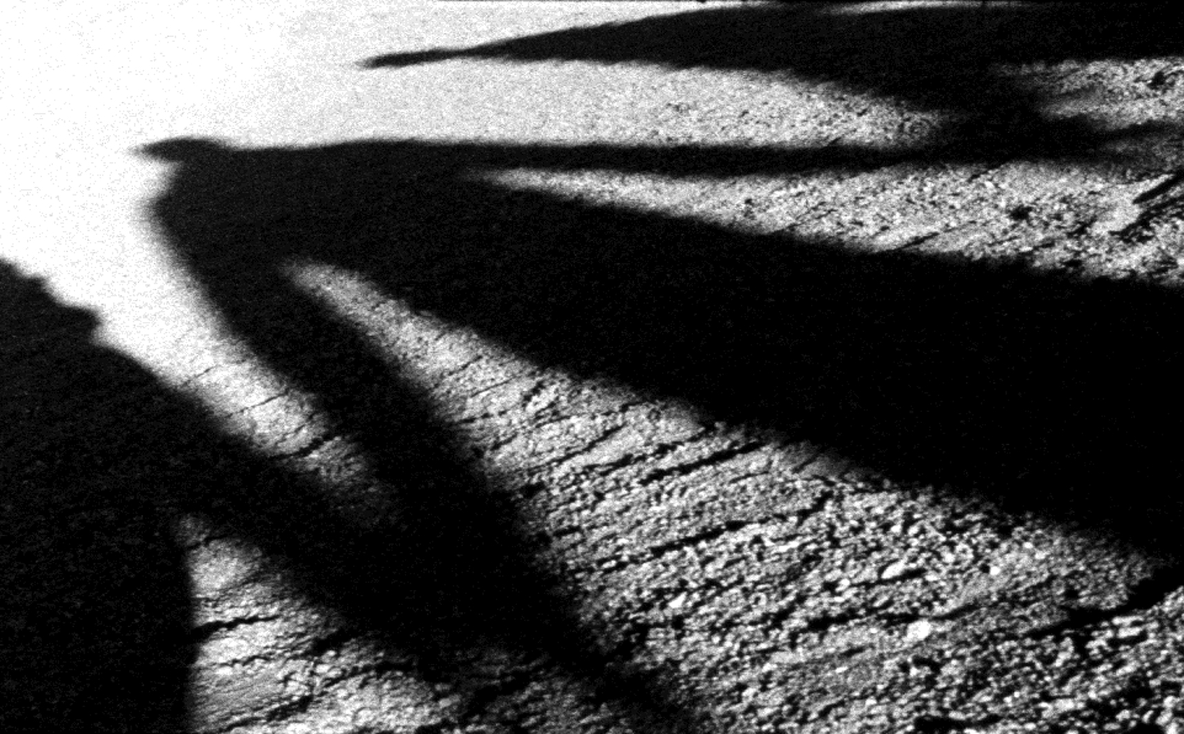 Intrusión Morelia Film Festival