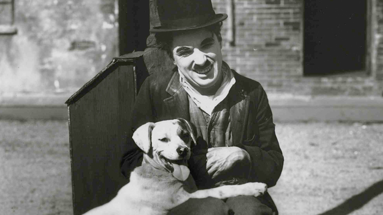 Posteridad relajarse Aislar 65 películas de Charlie Chaplin en línea | Morelia Film Fest