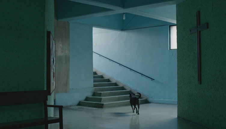 CASCAJO (2019, dir. Santiago Bonilla)