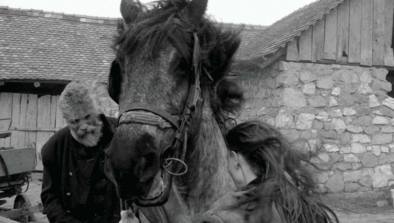 El caballo de Turín