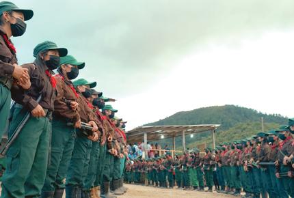 Los motivos de la selva