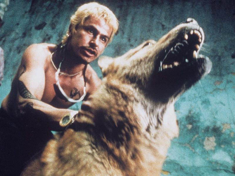 Amores perros 25 años Cannes Classics