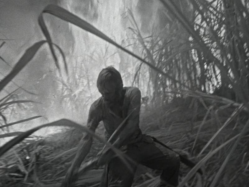 El espectáculo soviético de Kalatózov