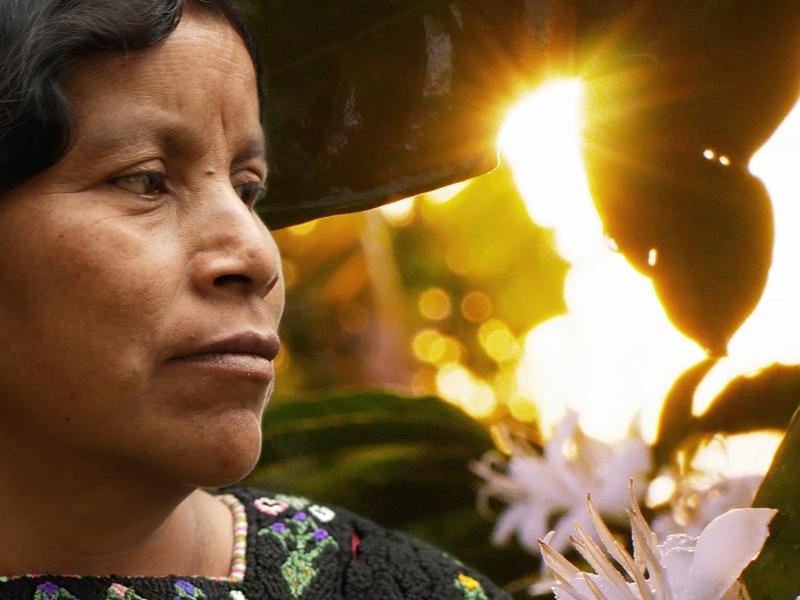 LI CHAM (MORÍ PARA RENACER), ópera prima de Ana Ts’uyeb, llega a salas de cine mexicanas