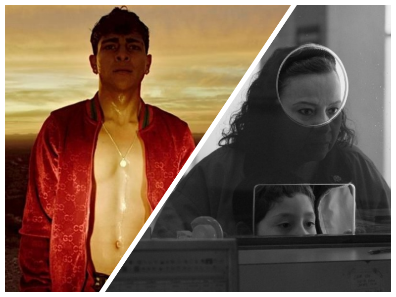 EN EL CAMINO y MOSCAS representarán a México en los Premios Oscar y Goya