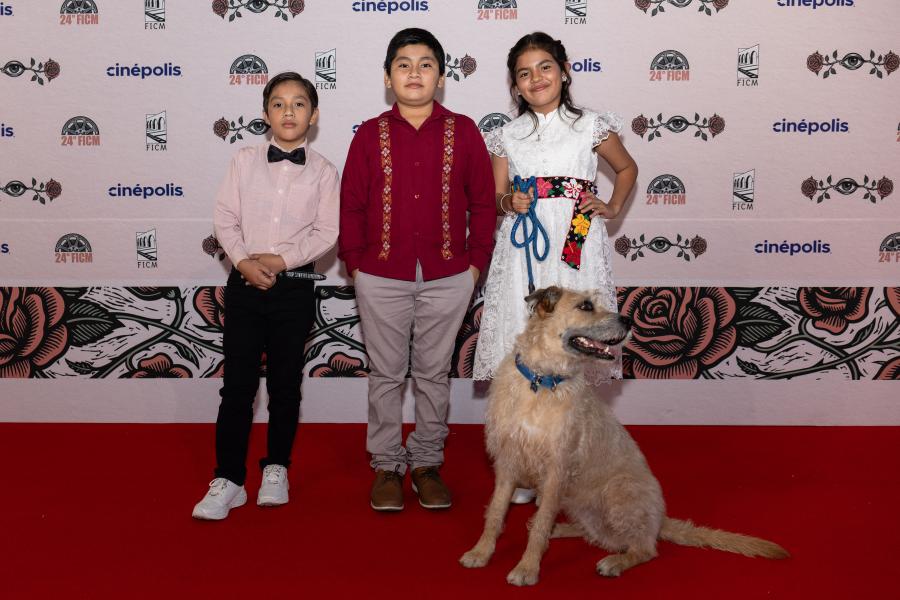 Los nuevos