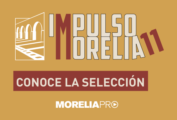 Resultados IM11