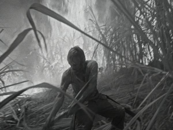 El espectáculo soviético de Kalatózov