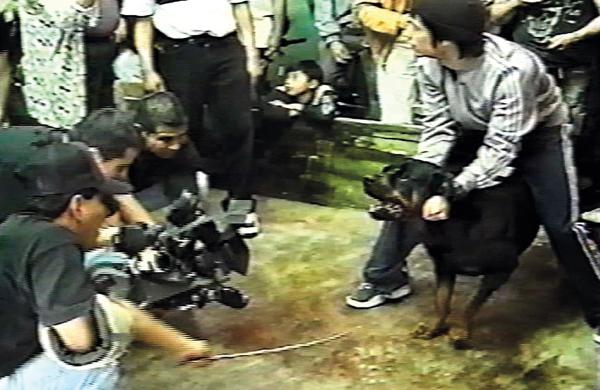 Un afortunado testigo (el detrás de cámaras de AMORES PERROS)