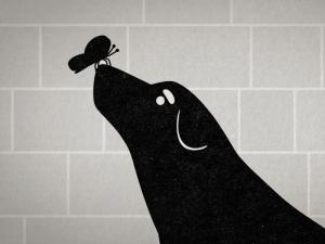 Cinespot 23 FICM 2025