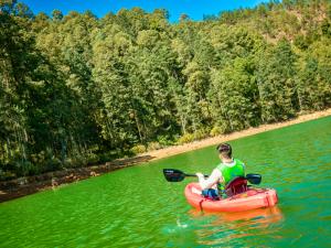 Ruta Michoacán mariposas. monarca