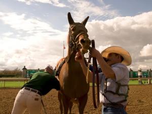 Backside (2025, dir. Raúl O. Paz-Pastrana)