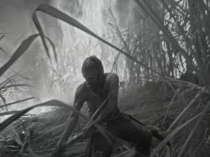 El espectáculo soviético de Kalatózov