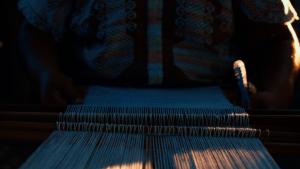 La piel de nuestra memoria