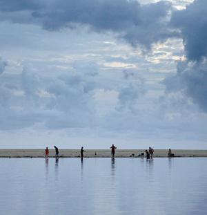 Heroes verdes México: Agua